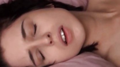Jika anda menyukai kambing bokef gratis